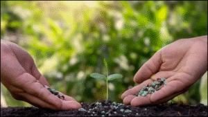 Fertilizer Use Efficiency: Reducing Input Costs While Maintaining Soil Health