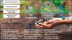 Assessing Crop Yield Variability in Response to Soil Fertility Management Under Climate Variability