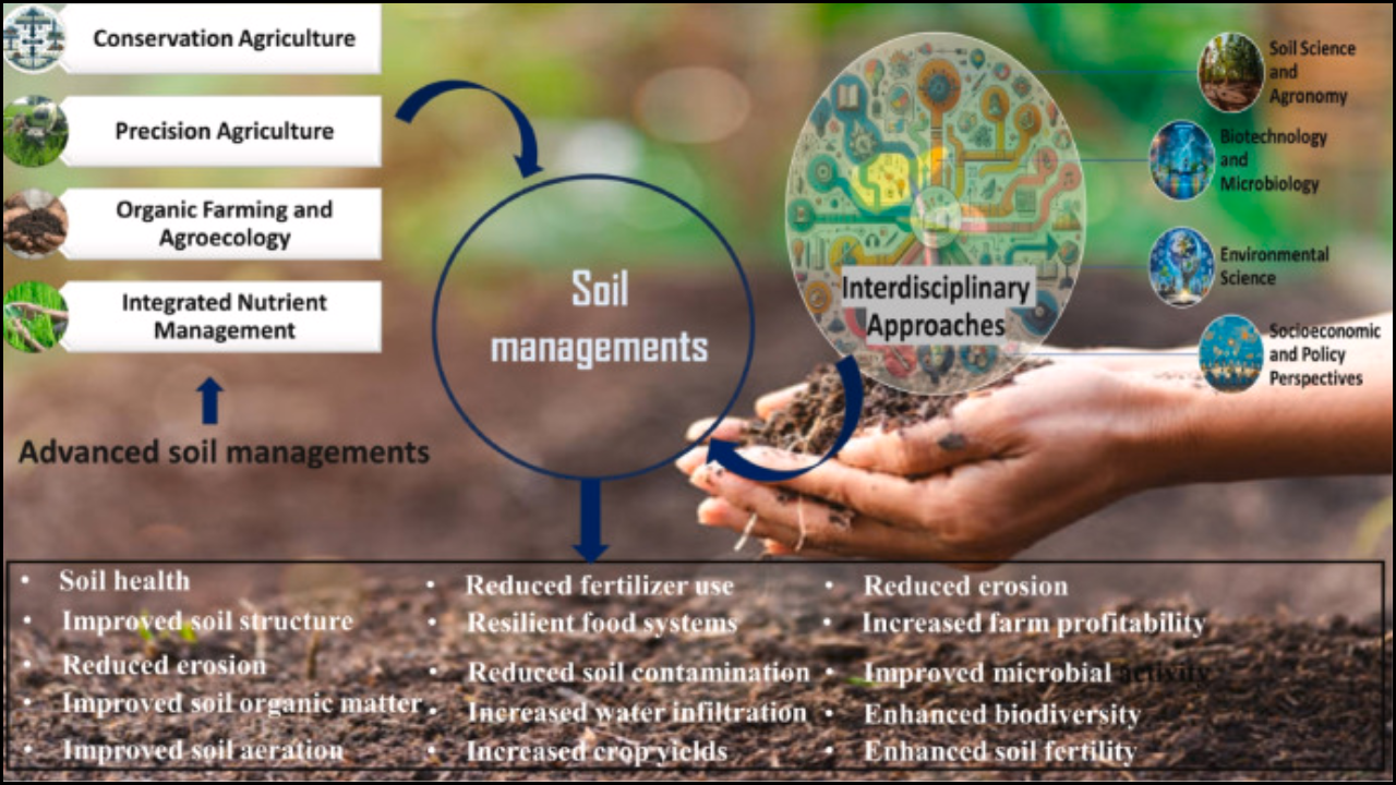 Assessing Crop Yield Variability in Response to Soil Fertility Management Under Climate Variability